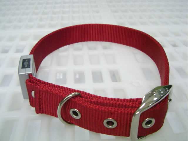 LED Flash 24" Dog Collar(#46111)