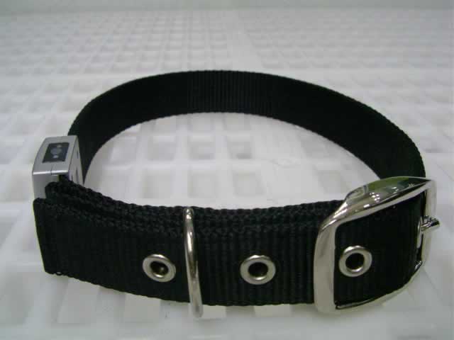 LED Flash 24" Dog Collar (#46112A)