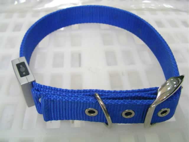 LED Flash 24" Dog Collar (#46113A)