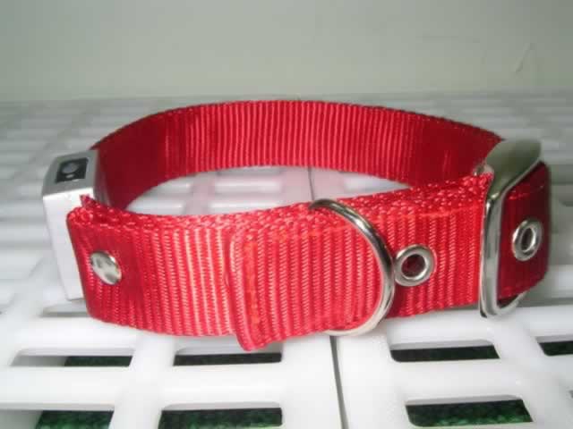 LED Flash 18" Dog Collar(#46114)