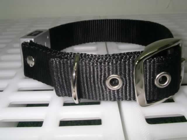 LED Flash 18" Dog Collar(#46115)