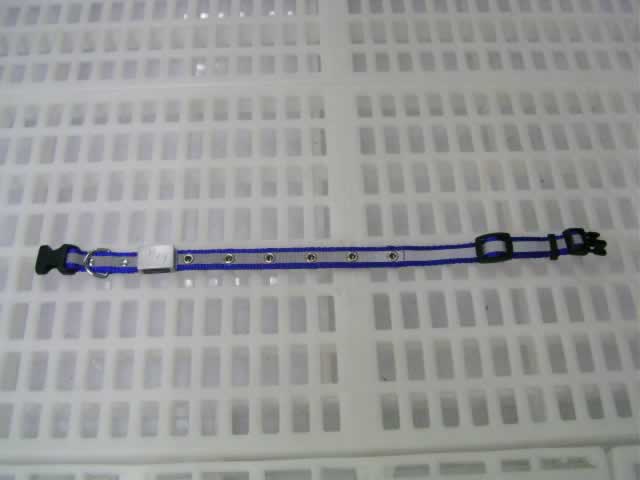 LED Flash 13-17" Dog Collar(#46119)