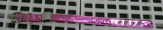 LED Flash 16" Dog Collar(#46122)