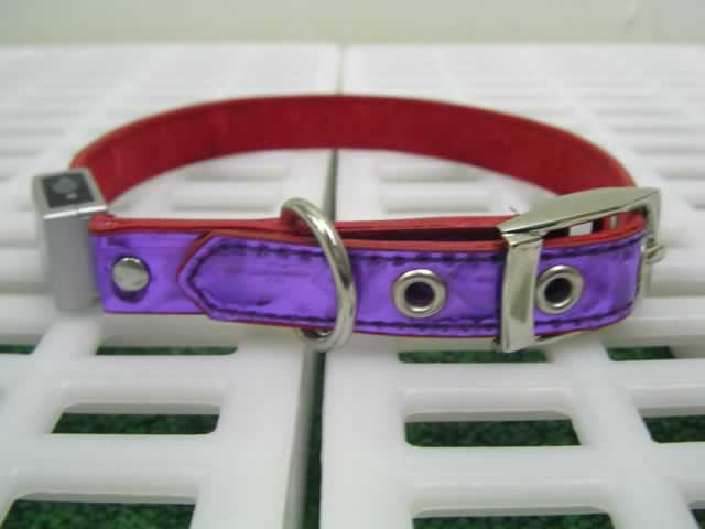 LED Flash 12" Dog Collar(#46127)