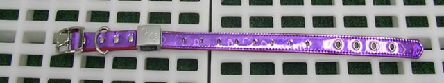 LED Flash 16" Dog Collar(#46126)