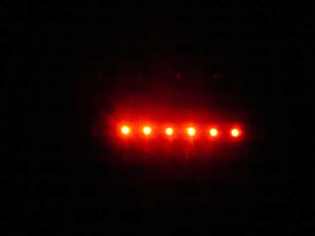 LED Flash 12" Dog Collar(#46127)