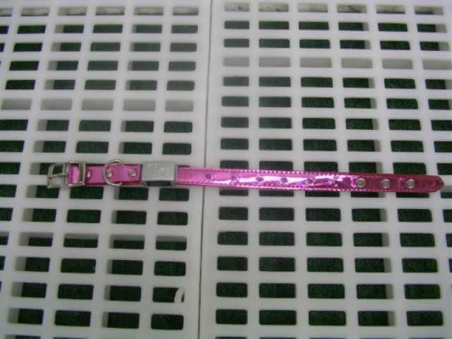 LED Flash 12" Dog Collar(#46127)