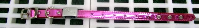 LED Flash 12" Dog Collar(#46127)