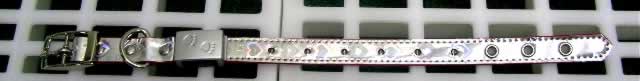 LED Flash 12" Dog Collar(#46128)