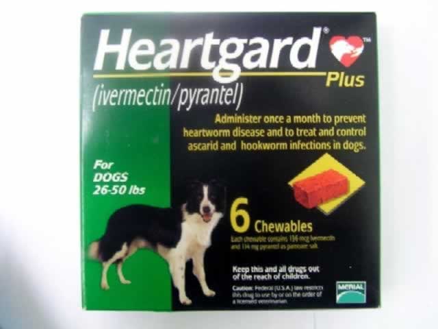 Heartguard Plus for dogs 26-50lbs