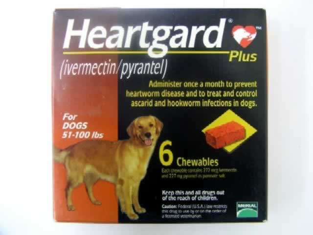 Heartguard Plus for dogs 51-100lbs